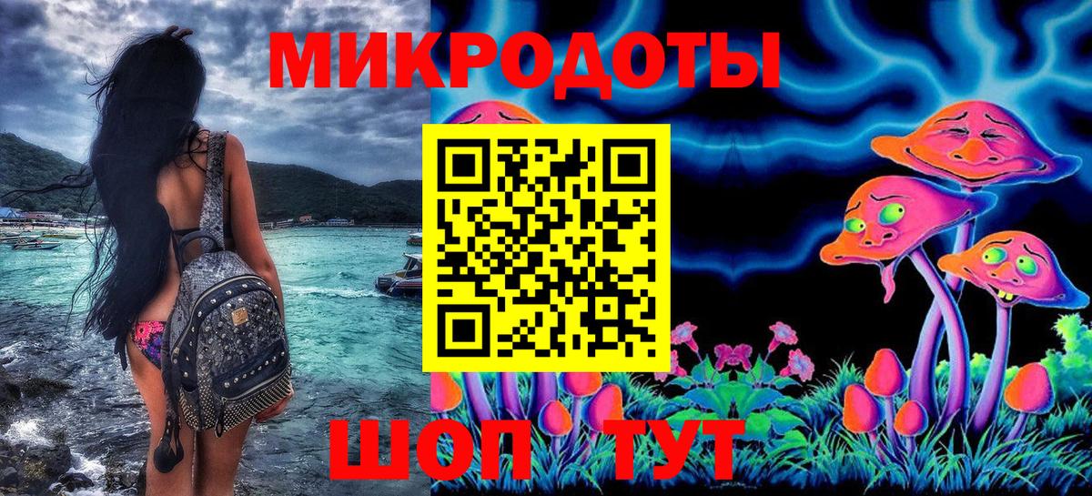 Псилоцибиновые грибы Psilocybine cubensis Кириши