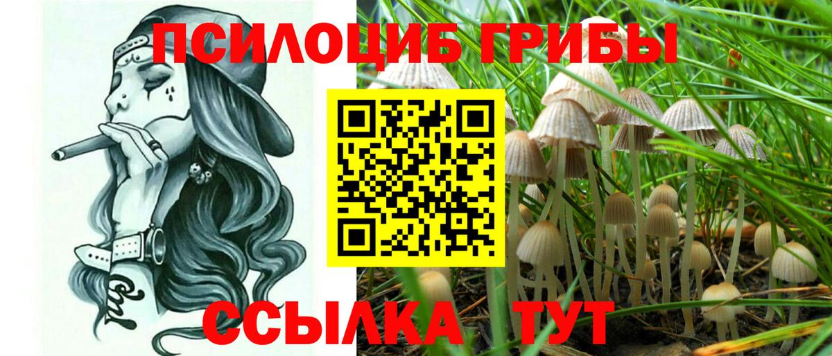 Галлюциногенные грибы GOLDEN TEACHER  Вход с VPN  как найти   Кириши 